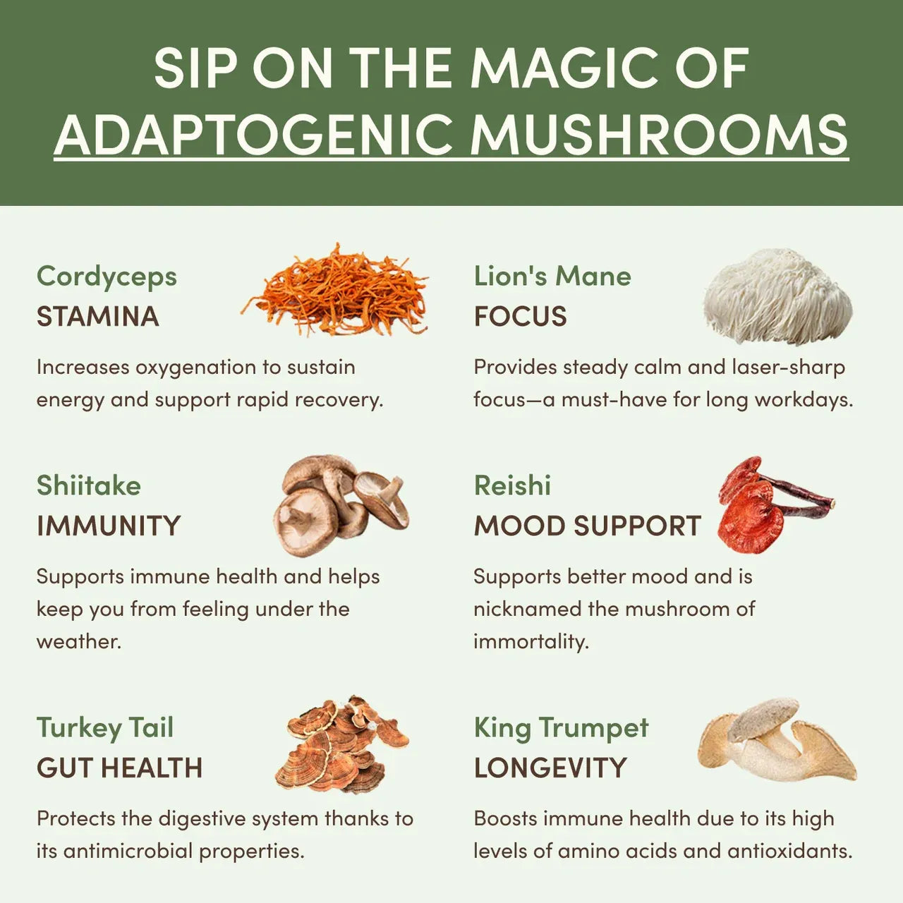 RYZE SUPERFOODS Mushroom Matcha, USDA Organic with 6 Adaptogenic Mushrooms and Ceremonial-Grade Matcha for Energy, Focus, Digestion, Immunity with Turkey Tail, Shiitake, Lion's Mane, 30 servings